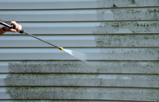Best Dumpster Area Cleaning  in Washingtonville, NY